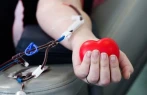 Aşura günü ilə bağlı qanvermə aksiyası başladı -&nbsp;ÜNVANLAR