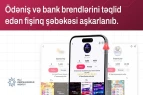 Ödəniş və bank brendlərini təqlid edən fişinq şəbəkəsi aşkarlandı