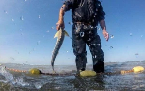 Qanunsuz ov edənlər CƏZALANDIRILDI