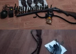 Masallıda qanunsuz ov edən şəxslər saxlanıldı