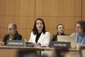 “France 24” telekanalı separatizmi təbliğ edir” - Leyla Abdullayeva (FOTO)