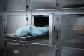 Ölkədə qeydə alınan ölümlərin sayı AZALDI