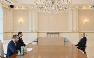 Prezident Türk Dövlətləri Təşkilatının Baş katibini qəbul etdi