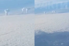 Sərnişin Ukraynaya qarşı həyata keçirilən raket hücumunu təyyarədən qeydə aldı - VİDEO