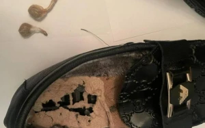 Həbsdə olan qonşusuna ayaqqabı dabanında narkotik keçirmək istədi