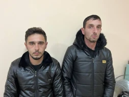 Əmisinin fermasından mal-qara oğurlayan şəxs saxlanıldı - VİDEO