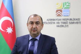 Payız-qış mövsümündə əkilən ağacların bitiş faizi daha yüksək olur - FOTOLAR