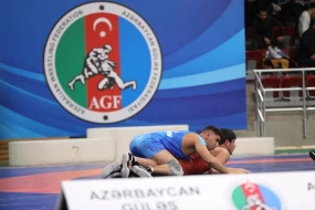 Azərbaycan çempionatında sərbəst güləş üzrə mübarizəyə yekun vuruldu