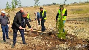 “Heydər Əliyev İli” çərçivəsində növbəti ağacəkmə aksiyası keçirilib - VİDEO/FOTO