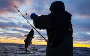 Daxili su hövzələrində sənaye balıq ovu qadağan edildi