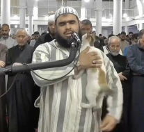 Namaz vaxtı imamın üstünə çıxan pişiyin videosu trend oldu - FOTO/VİDEO