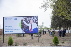 Nazirlik “Heydər Əliyev İli” çərçivəsində ağacəkmə aksiyası keçirib - FOTO