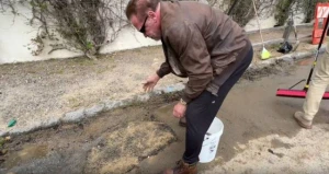 Bələdiyyənin etmədiyini görən Arnold Şvartsenegger yoldakı çuxurları özü bağlayır - VİDEO