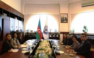 Səbinə Əliyeva BMT nümayəndəsi ilə görüşdü