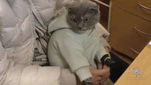 Pişiyin paltarından külli miqdarda narkotik tapıldı - FOTO