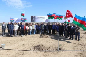 Ulu Öndər Heydər Əliyevin 100 illik yubileyi ilə əlaqədar növbəti ağacəkmə tədbirləri keçirildi - FOTOLAR