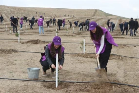 Ulu Öndər Heydər Əliyevin 100 illik yubileyi ilə əlaqədar növbəti ağacəkmə tədbirləri keçirildi - FOTO