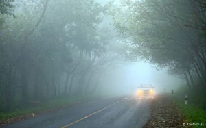 Sürücülərin NƏZƏRİNƏ: Bəzi yollarda görmə məsafəsi məhdudlaşacaq