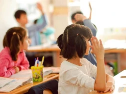 Azərbaycanda özəl məktəb və liseylər illik təhsil haqqını artırdılar - VİDEO