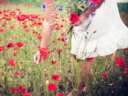 Azərbaycanda hansı gülləri dərmək olmaz, cəriməsi nədir? 