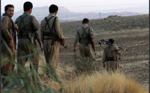 Türkiyənin Hakkari bölgəsi terrorçulardan tam təmizləndi