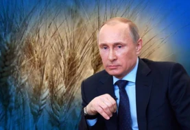 BMT-dən Putinə taxıl təklifi