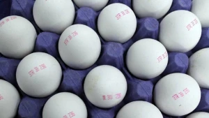 Yumurtalar niyə kodlaşdırılır? - VİDEO