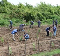 Hirkan Milli Parkında turist marşrutları yeni nişanlarla tənzimlənəcək - FOTO