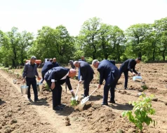 Növbəti ağacəkmə aksiyası və balıq buraxılışı tədbirləri keçirilib - FOTO