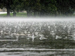 Şəmkirdə güclü yağış bir sıra fəsadlar törətdi