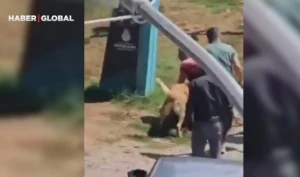 Çimərlikdə dəhşətli anlar - VİDEO