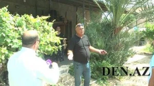 Sumqayıtda 3 ayın gəlini ərini niyə öldürdü? - QONŞULAR DANIŞDI (VİDEO)