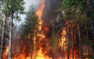 Bu rayonlarda yanğın indeksi yüksəkdir