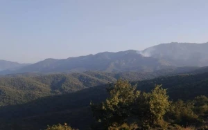 Cəlilabadda qəsdən yanğın törədildi