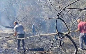 Meşə ərazilərində yanğınlar baş verib - FOTOLAR