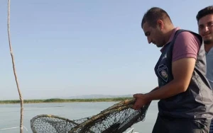 Qanunsuz ov edənlər cəzalandırıldı - FOTOLAR