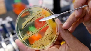 ABŞ-da yeni epidemiya böhranı