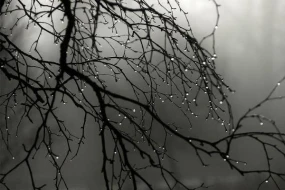 Bu tarixdən hava kəskin dəyişəcək - XƏBƏRDARLIQ