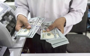 “Dollara tələb artmaqda davam edir” - Vüqar Bayramov