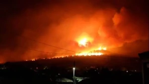 Yunanıstanda yanğınlar səbəbilə 140 nəfər saxlanıldı