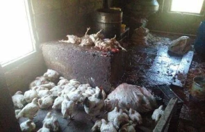 \"Kənd Evi\"nin fəaliyyəti dayandırıldı