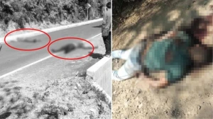 Turistik şəhərdə 7 cəsəd tapıldı - Hamısının bədənində eyni izlər aşkar edildi