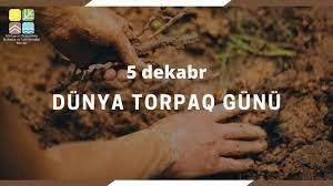 Meşə fondu torpaqlarında 30 mindən çox ağac əkilib