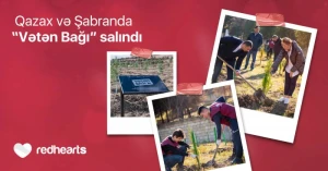 Qırmızı Ürəklər Fondunun dəstəyi ilə Qazax və Şabran rayonlarında “Vətən Bağı” salındı