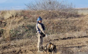 İlk qadın minatəmizləmə qrupumuz siçovul və itlərlə təlim keçirdi - FOTO