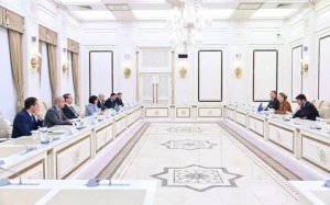 Sahibə Qafarova Avropa Şurasının Baş katibi ilə görüşdü 