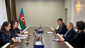 Türk Mədəniyyəti və İrsi Fondunun prezidenti Prezidentin xüsusi nümayəndəsi ilə görüşdü