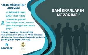 Sahibkarlarla növbəti görüş Lənkəranda keçiriləcək