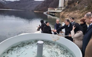 Göygöl Milli Parkında 1500-dən çox balıq su hövzəsinə buraxılıb - FOTO