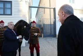 Orban Ərdoğana at hədiyyə etdi - FOTO